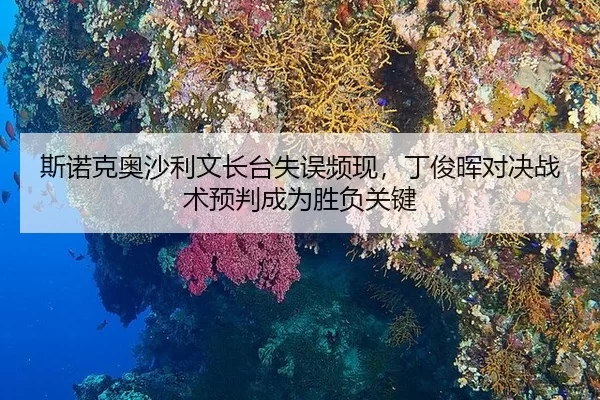 si-nuo-ke-ao-sha-li-wen-zhang-tai-shi-wu-pin-xian-ding-jun-hui-dui-jue-zhan-shu-yu-pan-cheng-wei-sheng-fu-guan-jian-2-138.jpg