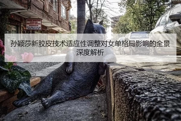 sun-ying-sha-xin-jiao-pi-ji-shu-shi-ying-xing-tiao-zheng-dui-nv-dan-ge-ju-ying-xiang-de-quan-jing-shen-du-jie-xi-3-813.jpg