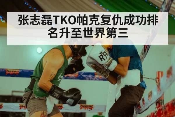 张志磊TKO帕克复仇成功排名升至世界第三