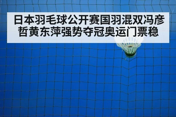 badminton net play